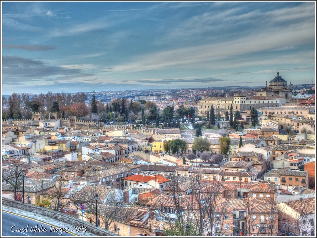 A view Of Toledo,Spain by carolmw