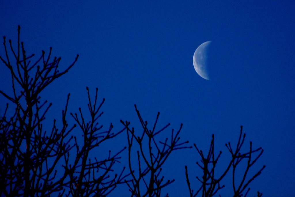 Another Moon Shot by lizzybean