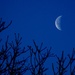 Another Moon Shot by lizzybean