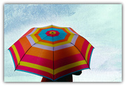 6th Feb 2013 - My New Umbrella