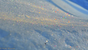 5th Feb 2013 - All that glitters