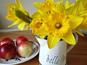 7th Feb 2013 - those breakfast daffodils...........