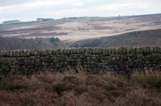 6th Feb 2013 - A very fine wall