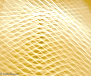6th Feb 2013 - Get Pushed - Camera Movement -                                                                        DO YOU KNOW WHAT THIS IS?