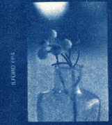7th Feb 2013 - cyanotype single bottle