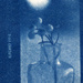 cyanotype single bottle by ingrid2101