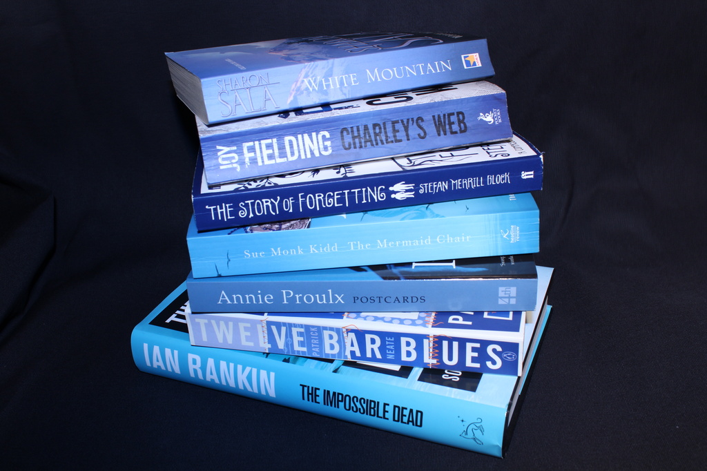 Blue books by rachel70