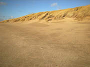 6th Feb 2013 - Dunes