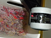 8th Nov 2008 - Threads from chair wheels