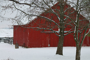 7th Feb 2013 - Red Barn in the Snow