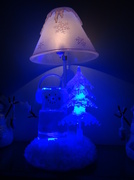 7th Feb 2013 - Winter Lamp