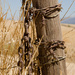 Rusty Wire Fence by salza