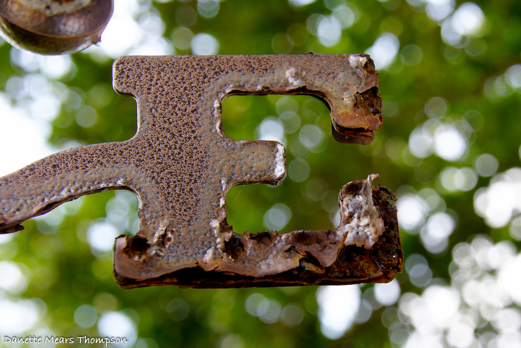 Rusted Weathervane by danette