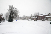 8th Feb 2013 - Snowstorm