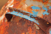 8th Feb 2013 - Rusted Antique Milk Can