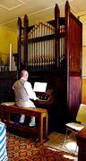 7th Feb 2013 - 1885 Pipe Organ