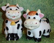 8th Feb 2013 - Cute Cows