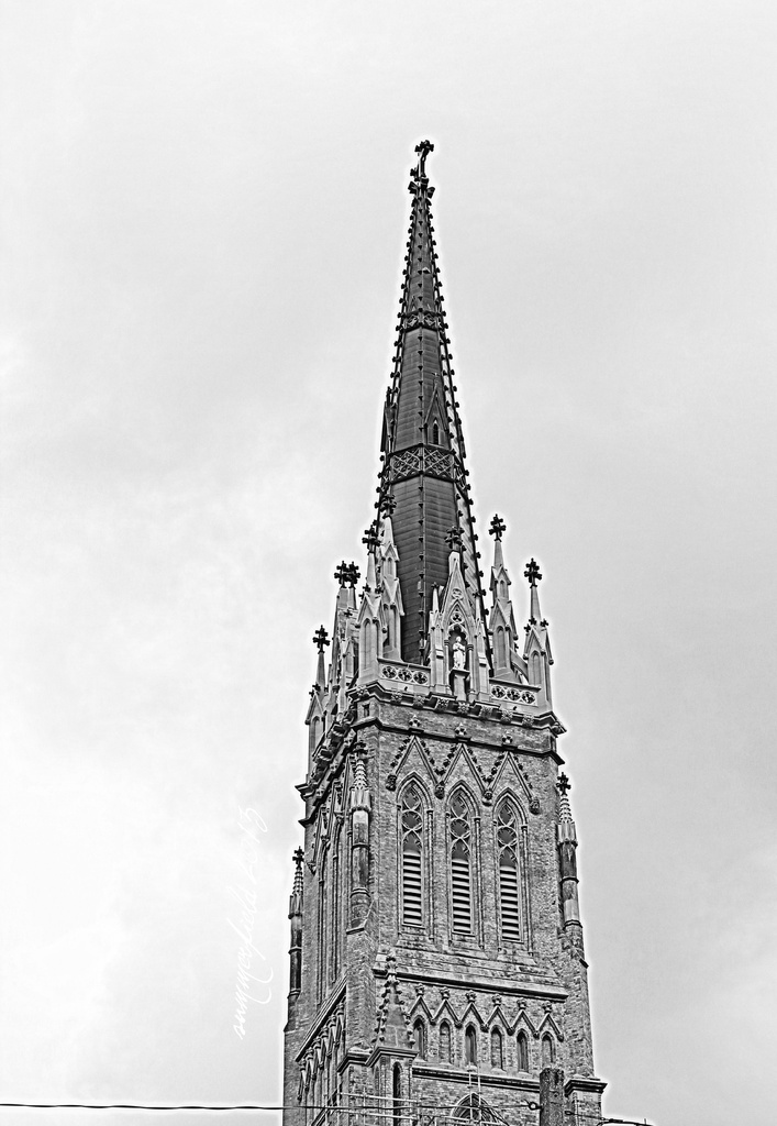 the spire of st. michael's catholic cathedral by summerfield