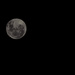 Full Moon by fillingtime
