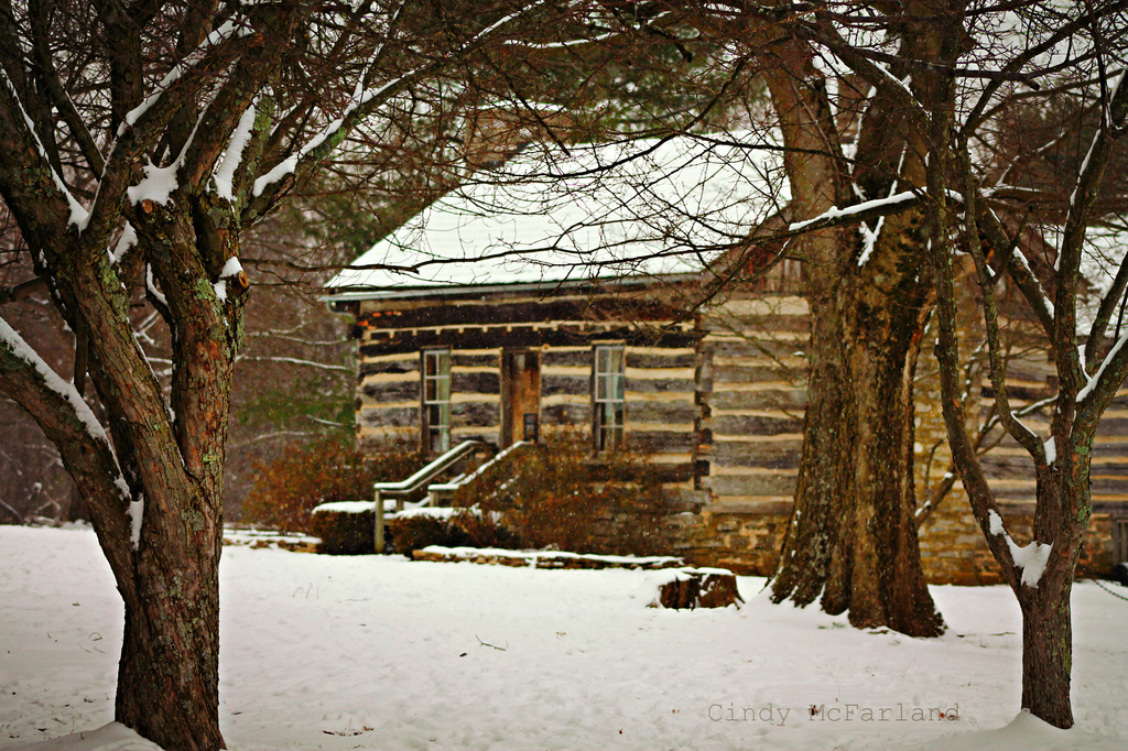 Log Cabin in the Snow  by cindymc