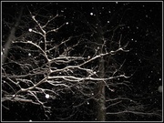 9th Feb 2013 - Snowfall at Night