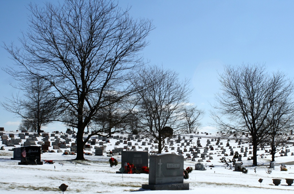 Cemetery on a cold day by mittens