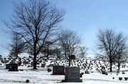 9th Feb 2013 - Cemetery on a cold day