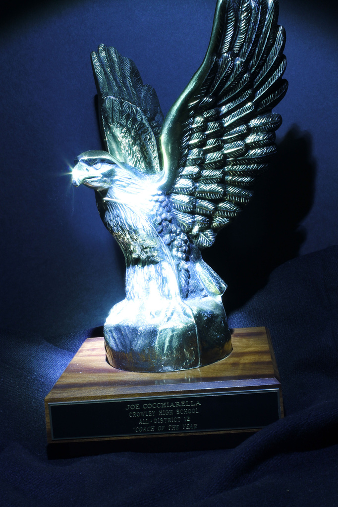 Eagle trophy by judyc57