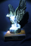 9th Feb 2013 - Eagle trophy