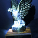 Eagle trophy by judyc57