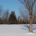 Field of snow by farmreporter