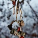 Snowberries by edorreandresen