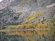 1st Feb 2013 - Walker Lake, California