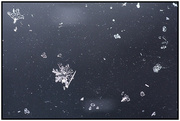 10th Feb 2013 - Battered snowflake