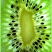 Kiwi  by tonygig