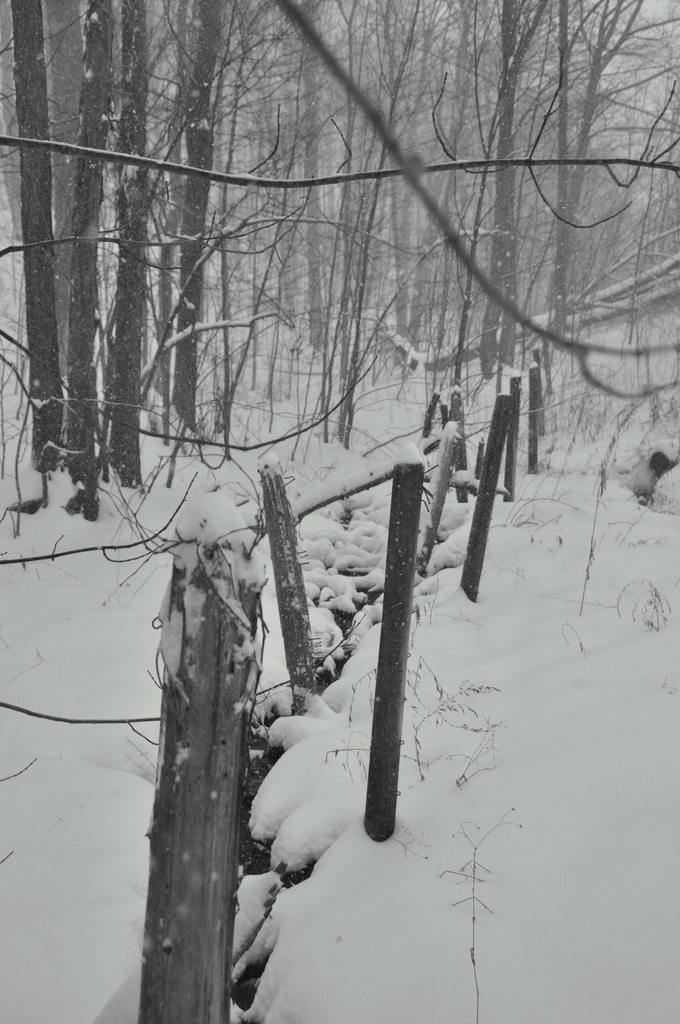 Fence in the Snowstorm by jayberg