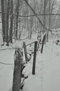 11th Feb 2013 - Fence in the Snowstorm