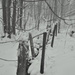 Fence in the Snowstorm by jayberg