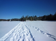 9th Feb 2013 - Snowshoe tracks