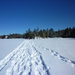Snowshoe tracks by cwarrior