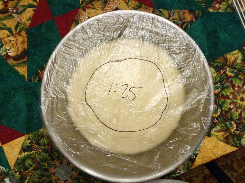 Rising Focacia dough by margonaut
