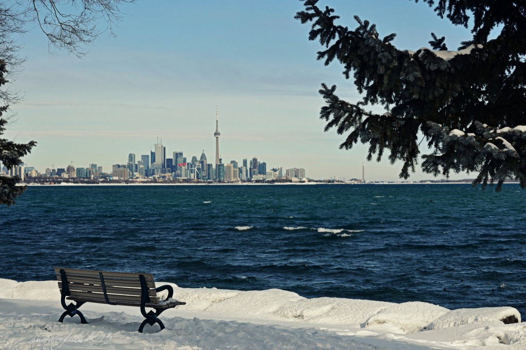 park bench with a view by summerfield