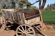 10th Feb 2013 - Pioneer wagon