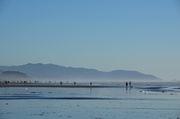 11th Feb 2013 - Low tide 