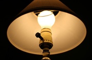 11th Feb 2013 - Light bulb