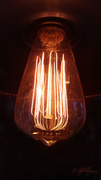 11th Feb 2013 - Light Bulb