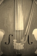 11th Feb 2013 - old fashioned bass fiddle