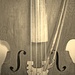old fashioned bass fiddle by dmdfday