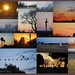 Country Dusk Collage by kareenking