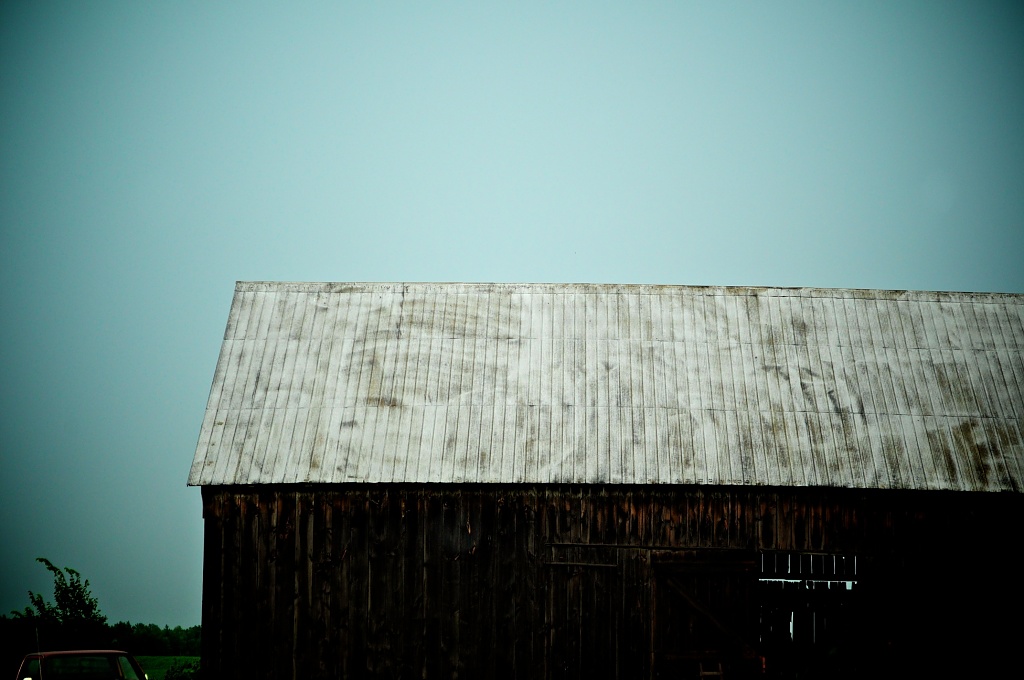 The old barn by dora